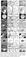 images/papers/thumb/cvpr06a.png