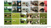 images/papers/thumb/cvpr10b.png
