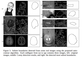 images/papers/thumb/nips03.png