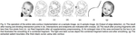 images/papers/thumb/pami05.png