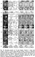 images/papers/thumb/pami08a.png