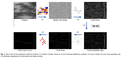 images/papers/thumb/prl12.png